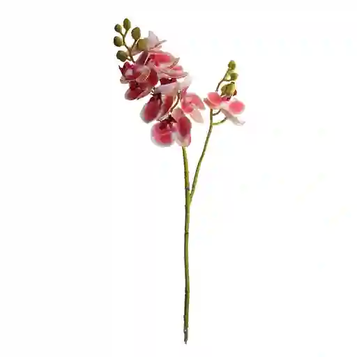 Orquidea Gio Home Mini Rosa