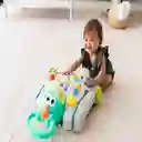 Caminador y Centro de Actividades Infantino