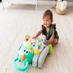 Caminador y Centro de Actividades Infantino