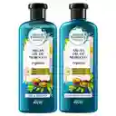 Shampoo Herbal Essences Bio:Renew Aceite de Argan de Marruecos Champu 400 ml + Acondicionador Herbal Essences Bio:Renew Aceite de Argan de Marruecos Rinse 400 ml