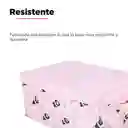 Miniso Caja Almacenamiento Tapa Panda Osos Escandalosos Grande