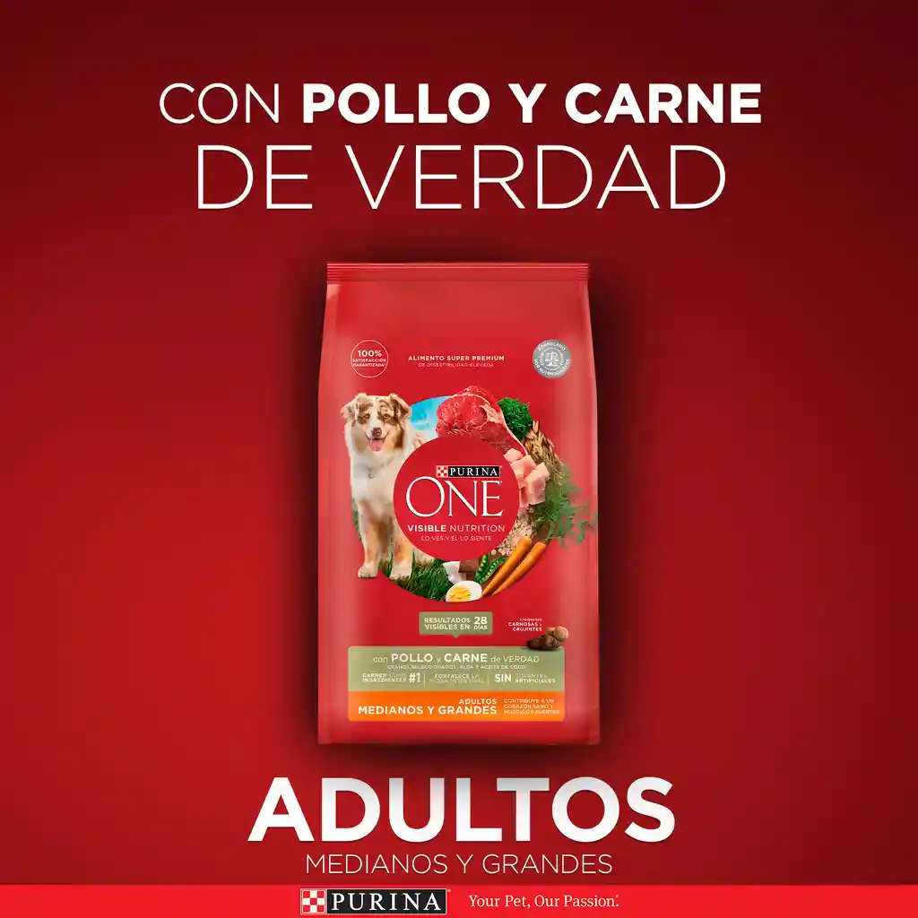 Comida para perro Purina One adultos medianos y grandes pollo y carne X 2kg