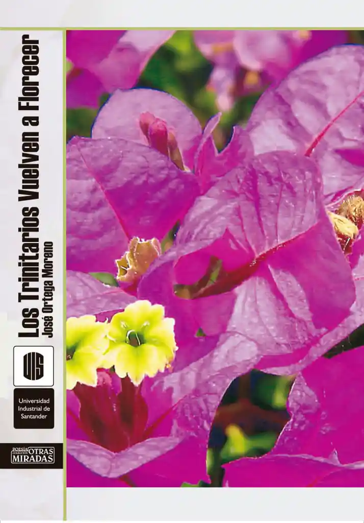 Los Trinitarios Vuelven a Florecer