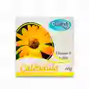 CREMA CALENDULA /VIT E/ALOE 60 GR