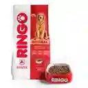 Ringo Alimento Perro Adulto