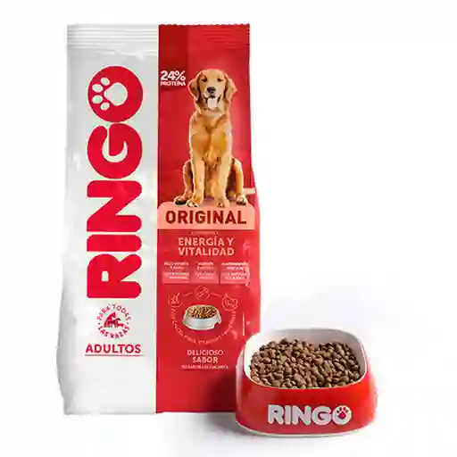 Ringo Alimento Perro Adulto