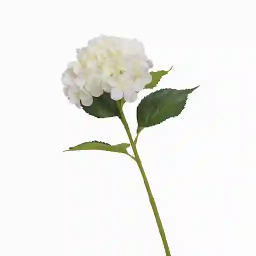 Ambiente Gourmet Flor Artificial Hortensia Blanca