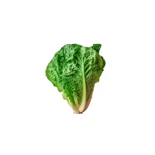 Lechuga Romana Fruttivos