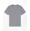 Camiseta Gris Talla Large Hombre American Eagle