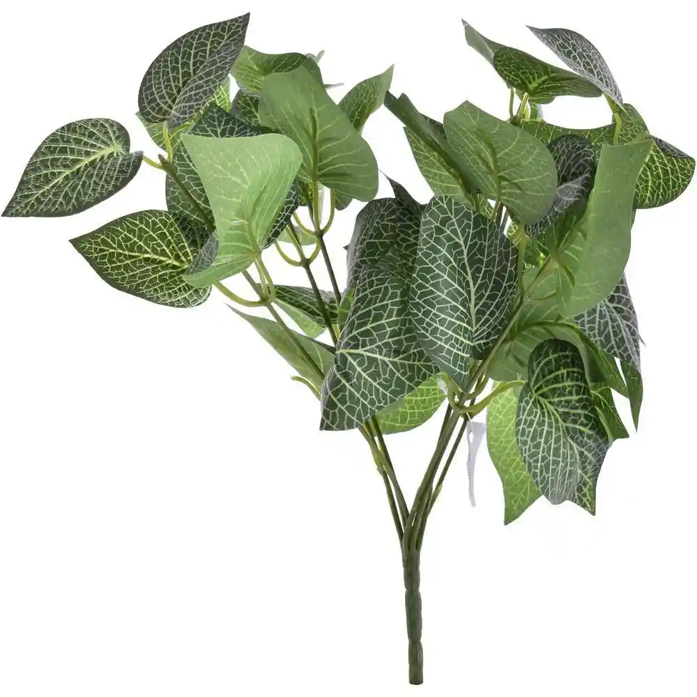 Ramo Corazon Concepts 456503057