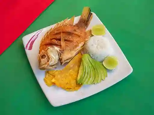 Mojarra Frita