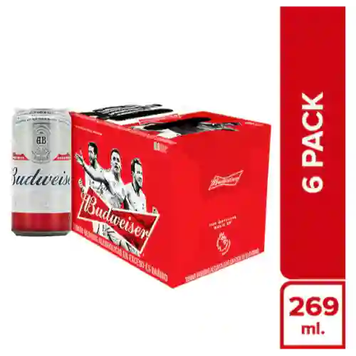Budweiser Six Pack