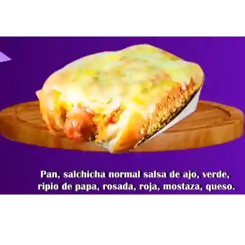 Perro Fiesta