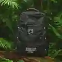 Maleta Escolar Serie Jurassic World Negro Miniso