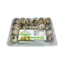 Tierra Esperanza Huevos de Codorniz