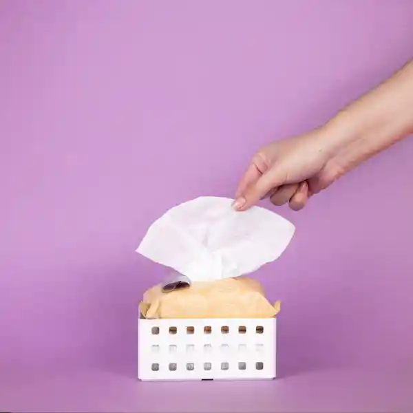 Toallita Desmaquillantes Con Aceite de Argán Miniso