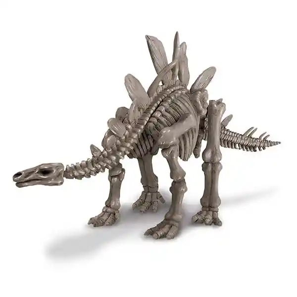 Dinosaur Stegosaurus - Equipo Editorial