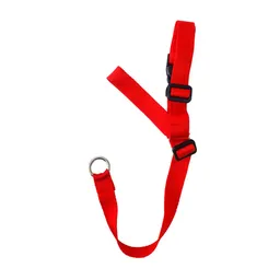 Interpet Collar Perro Grande Surtido Pc0092
