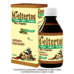 Mieltertos Jarabe Sabor a Mentol
