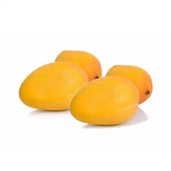 Mango de Azúcar Selecto C.a