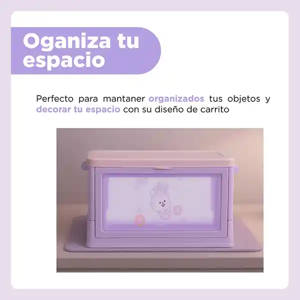 Organizador Plegable Mini Puerta Lateral Mang Serie Bt21 Miniso