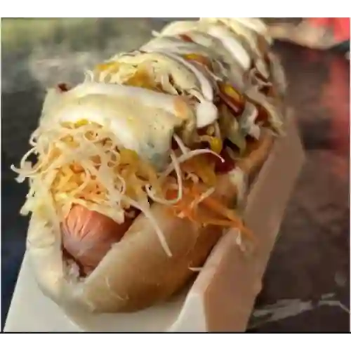 Perro Especial
