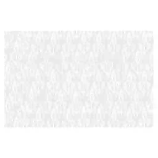 Cotidiana Individual Blanco 28.5 x 43 cm D3