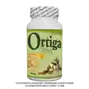 Natural Freshly Ortiga Diurético