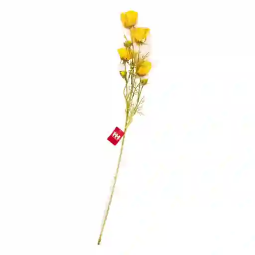 Rama Artificial House & Home Color Amarillo 456-512246