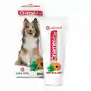 Cinamet Perros X 60ML