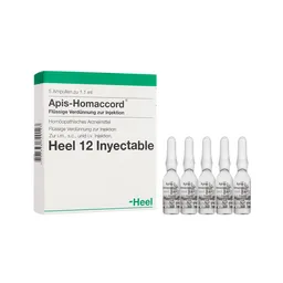 Apis Homaccord Inyecciones x 12 Unidades