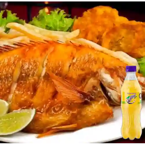 Combo Mojarra Frita + Quatro Original 400ML