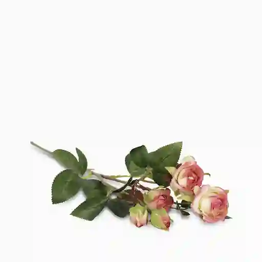Ambiente Gourmet Flor Mini Rosas
