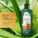 Shampoo sin sal' Herbal Essences Bio:Renew 6X Aloe y Mango Protege y Repara Champu 400 ml