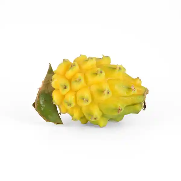 Pitahaya