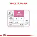 Royal Canin Alimento para Gatitos Esterilizado