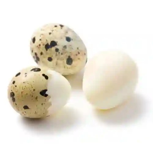 Huevos de Codorniz X5