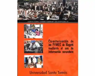 Caracterización de las PYMES de Bogotá mediante el uso de información secundaria