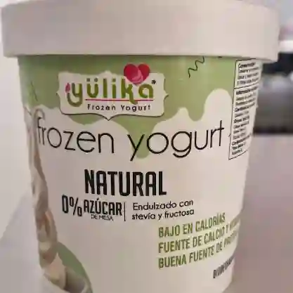 Frozen Yogurt Natural 0% Azucar X 750 G