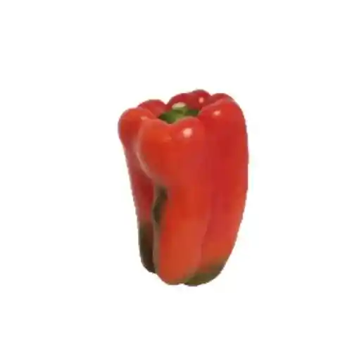 Pimentón Rojo - El Bodegón de Cota