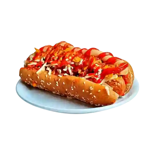 Perro Terra Dog