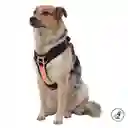 Arnés Pechera Para Perro Rex M Azul/rosado/naranja