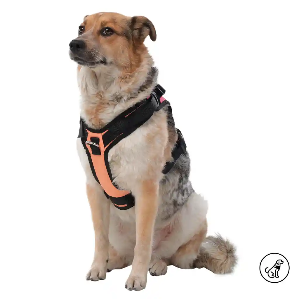 Arnés Pechera Para Perro Rex M Azul/rosado/naranja