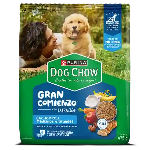Alimento para perro Dog Chow Cachorros Gran Comienzo Medianos y Grandes x 475g