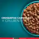 Comida para Gato Pollo y Carne Purina One x 2kg
