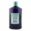 Hendricks Ginebra Orbium