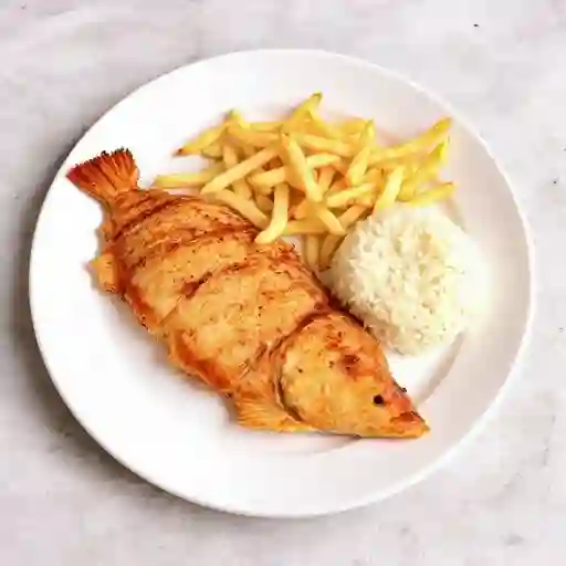 Filete de Pargo Rojo