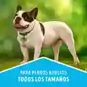 Comida para perro Dog Chow control de peso (Light) x 2 kg