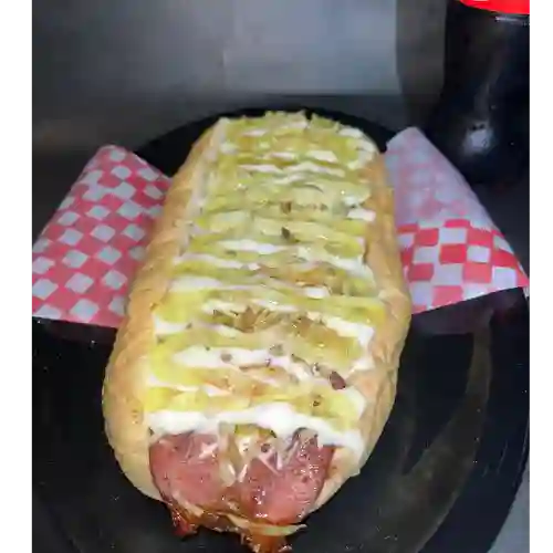 Perro Suizo