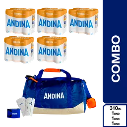 Combo Andina Dorada 310 mL 6 Und + Hit Futbolero